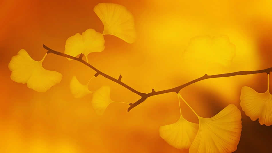 Access Consciousness